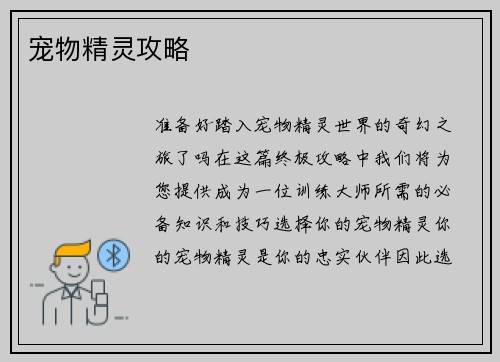 宠物精灵攻略