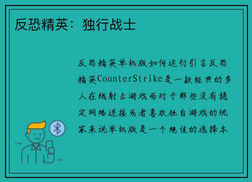 反恐精英：独行战士